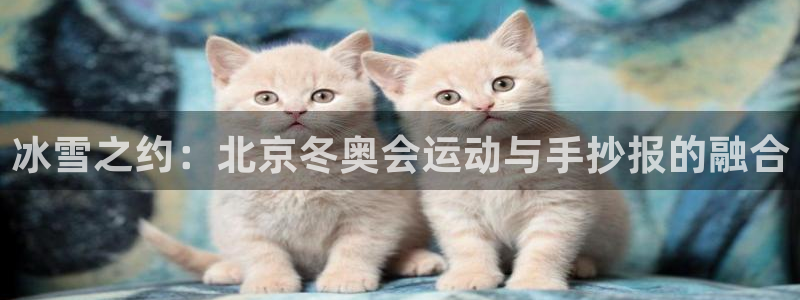 熊猫体育比赛直播