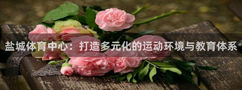 熊猫体育平台官网