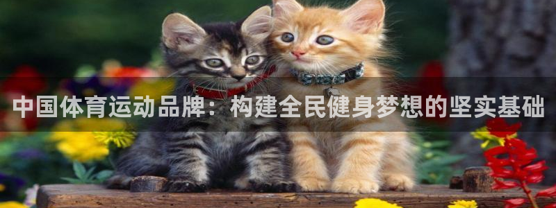 熊猫体育sports：中国体育运动品牌：构建全民健身梦想的坚实基础