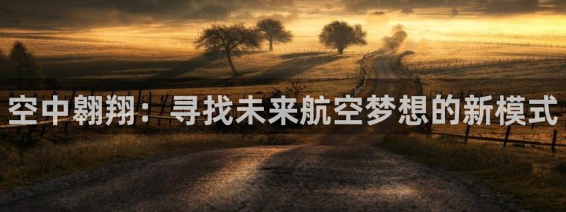 熊猫体育app官方入口：空中翱翔：寻找未来航空梦想的新模式