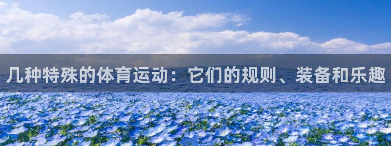 熊猫体育平台：几种特殊的体育运动：它们的规则、装备和乐趣