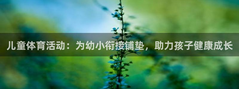 熊猫体育平台官网：儿童体育活动：为幼小衔接铺垫，助力孩子健康成长